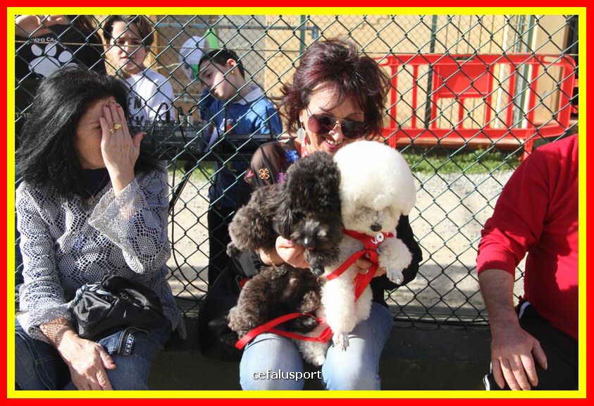 180311 mostra_canina 083.jpg